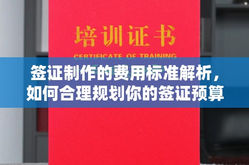 铜锣签证制作的费用标准解析，如何合理规划你的签证预算