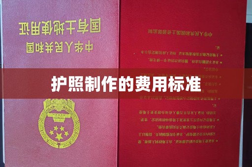 铜锣护照制作的费用标准