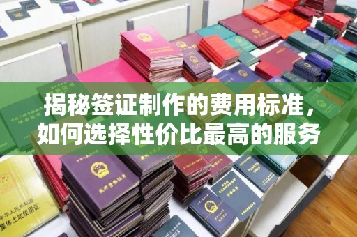 铜锣揭秘签证制作的费用标准，如何选择性价比最高的服务？