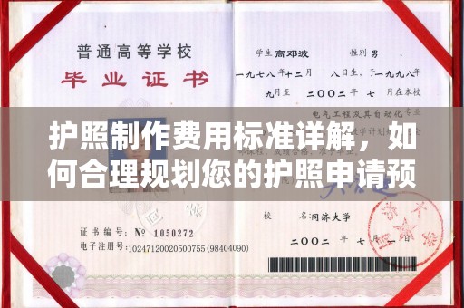 铜锣护照制作费用标准详解，如何合理规划您的护照申请预算